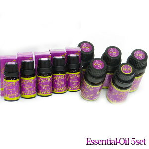 GbZVIC5{Zbg A}IC  uh A} A}fBt[U[ A} A}Lh A}Xg[    Mtg v[g aroma oil 