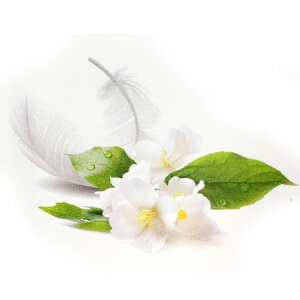 y  z vxWFICyzCgXNz100mlyA1526zlampberger ]xWF maison berger tOXIC A} A}IC A}v A}|bg  k[g 