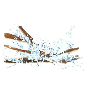 y  zvxWFIC y ANAeBbNEEbh z100mlyA1505zlampberger ]xWF maison berger tOXIC A} A}IC A}v A}|bg  