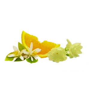 y  zvxWFIC y IWubT z100mlyA1421zlampberger ]xWF maison berger tOXIC A} A}IC A}v A}|bg  lC 