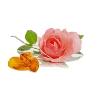 y  zvxWFIC y V[Y z100mlyA1447zlampberger ]xWF maison berger tOXIC A} A}IC A}v A}|bg  lC  fleur