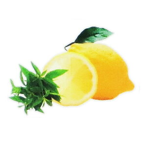 y  zvxWFIC y o[xi z100mlyA1465zlampberger ]xWF maison berger tOXIC A} A}IC A}v A}|bg  lC  frais