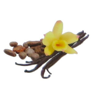 y  zvxWFIC y oj z100mlyA1467zlampberger ]xWF maison berger tOXIC A} A}IC A}v A}|bg  lC  suit