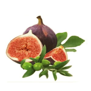 y  zvxWFIC y t`BG z100mlyA1479zlampberger ]xWF maison berger tOXIC A} A}IC A}v A}|bg  lC 