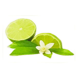 y  zvxWFIC y t[ z100mlyA1497zlampberger ]xWF maison berger tOXIC A} A}IC A}v A}|bg  lC  