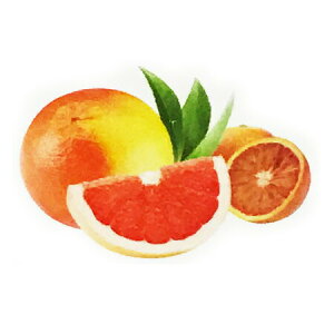 y  zvxWFIC y O[vt[c z100mlyA1428zlampberger ]xWF maison berger tOXIC A} A}IC A}v A}|bg  lC 