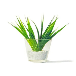 y  zvxWFIC y Vgl z100mlyA1445zlampberger ]xWF maison berger tOXIC A} A}IC A}v A}|bg  lC  frais