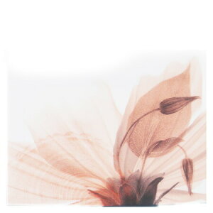 y  zvxWFIC y bNX z100mlyA1511zlampberger ]xWF maison berger tOXIC A} A}IC A}v A}|bg  lC  orient