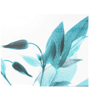 y  zvxWFIC y nbs[ z100mlyA1512zlampberger ]xWF maison berger tOXIC A} A}IC A}v A}|bg  lC  frais