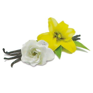 y  zvxWFIC y wu[T z100mlyA1513zlampberger ]xWF maison berger tOXIC A} A}IC A}v A}|bg  lC  