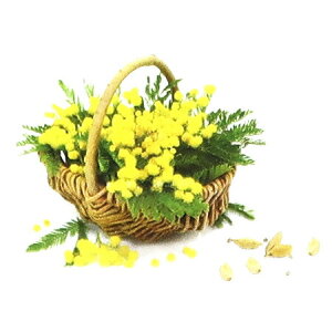 y  zvxWFIC y ~U z100mlyA1504zlampberger ]xWF maison berger tOXIC A} A}IC A}v A}|bg  lC  fleur