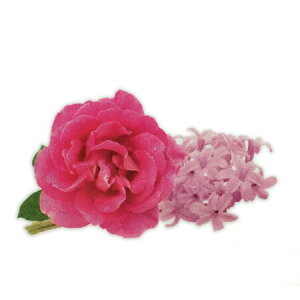 y  zvxWFIC y ^CXE[Y z100mlyA1454zlampberger ]xWF maison berger tOXIC A} A}IC A}v A}|bg  lC 