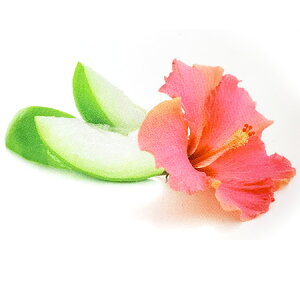 y  zvxWFIC y nCrXJX z100mlyA1527zlampberger ]xWF maison berger tOXIC A} A}IC A}v A}|bg  lC  fle