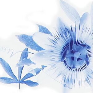 y  zvxWFIC y MBtH[JX z100mlyA1532zlampberger ]xWF maison berger tOXIC A} A}IC A}v A}|bg  lC  frai