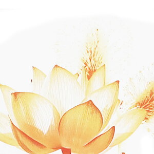 y  zvxWFIC y MBXgXDt[c z100mlyA1533zlampberger ]xWF maison berger tOXIC A} A}IC A}v A}|bg  lC 