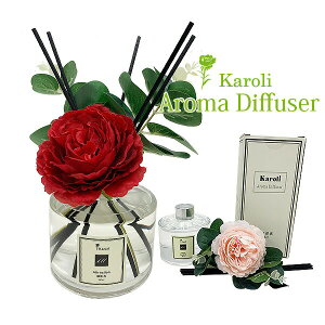 y Karoli z [hfBt[U[sԕtt A}fBt[U[ [tOX XeBbN F  Vv    Mtg v[g  j J