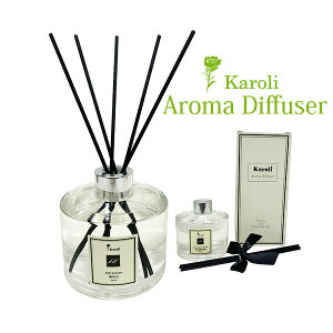 y Karoli z [hfBt[U[ A}fBt[U[ [tOX XeBbN F  Vv    Mtg v[g  j J