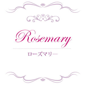 y  zVeBG A}ICy [Y}? z 100mlyA1136zvxWF A}v ɎgpI]xWF Ή A} A}IC A}v A}|bg  ch