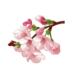 y  zVeBG A} ICy  z100mlyA1105zvxWF A}v ɎgpI]xWF Ή A} A}IC A}v A}|bg  chartisr 