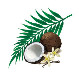 y  zVeBG A} ICy RRibcoj z100mlyA1104zvxWF A}v ɎgpI]xWF Ή A} A}IC A}v A}|bg 