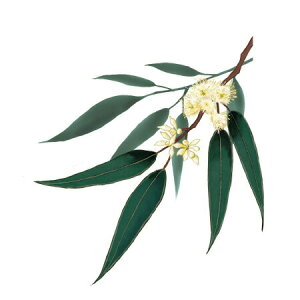 y  zVeBG A} ICy [J z100mlyA1120zvxWF A}v ɎgpI]xWF Ή A} A}IC A}v A}|bg  charti