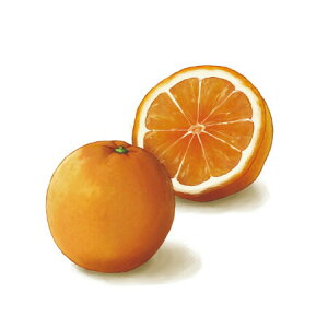 y  zVeBG A} ICy }_ z100mlyA1118zvxWF A}v ɎgpI]xWF Ή A} A}IC A}v A}|bg  cha