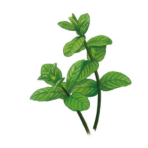 y  zVeBG A} ICy ~g z100mlyA1119zvxWF A}v ɎgpI]xWF Ή A} A}IC A}v A}|bg  chartisr 