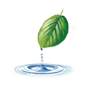 y  zVeBG A} ICy k[g z100mlyA1111zvxWF A}v ɎgpI]xWF Ή A} A}IC A}v A}|bg  charti