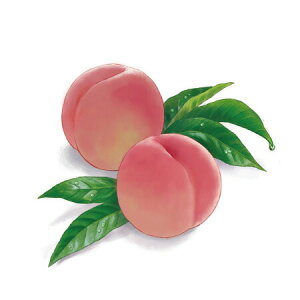 y  zVeBG A} ICy  z100mlyA1127zvxWF A}v ɎgpI]xWF Ή A} A}IC A}v A}|bg  chartisr lC