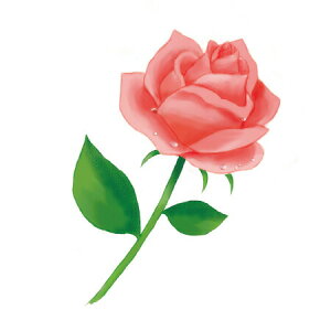 y  zVeBG A}ICy [Y z100mlyA1125zvxWF A}v ɎgpI]xWF Ή A} A}IC A}v A}|bg  chartisr 