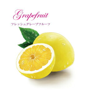 y  zVeBG A} ICy tbVO[vt[c z100mlyA1115zvxWF A}v ɎgpI]xWF Ή A} A}IC A}v A