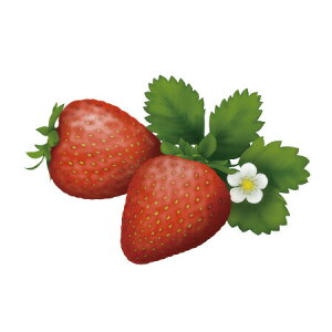 y  zVeBGA}ICy  z100mlyA1101z vxWF A}v ɎgpI]xWF Ή A} A}IC A}v A}|bg  chartisr 