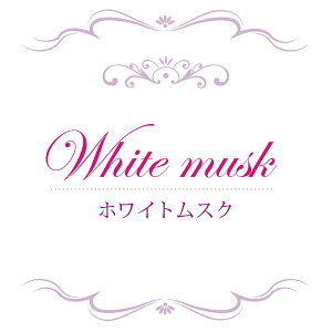 y  zVeBG A} ICy zCgXN z100mlyA1134zvxWF A}v ɎgpI]xWF Ή A} A}IC A}v A}|bg 