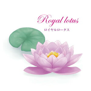 y  zVeBG A} ICy C[^X z100mlyA1124zvxWF A}v ɎgpI]xWF Ή A} A}IC A}v A}|bg 