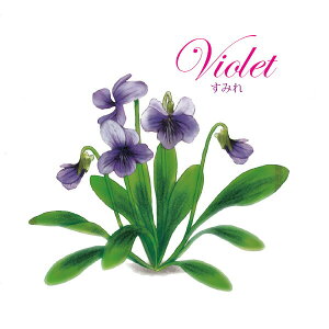 y  zVeBG A} ICy ݂ z100mlyA1110zvxWF A}v ɎgpI]xWF Ή A} A}IC A}v A}|bg  chartisr 