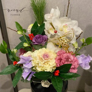   AWg Iׂ邨͂i1227`30ɂ͂j܂}tAWgSSTCY sNn VsW[  tO N }t Ε