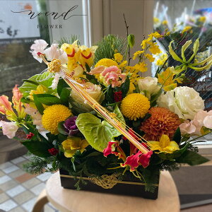   AWg Iׂ邨͂i1227`30ɂ͂j܂}tAWgLTCY{[Abv VsW[ tO N }t Ε