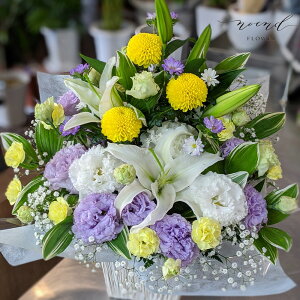    t[AW 肨CԃAWgMTCY @v ˌ l\  O   