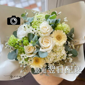 t[Mtg zCgO[n܂t[AWgMTCY i`n  Mtgl av[g ij ސEj j މ@j