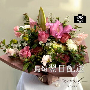 t[Mtg G߂̂CJWAԃAWgLTCY  Mtg av[g ސEj  ij  \ j LO މ@j Cj