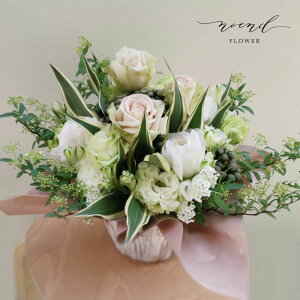 t[Mtg o肨܂t[AWgSTCY  Mtg av[g l ij ސEj  LO oYj މ@j j