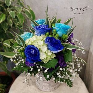 o AWg  ܂t[AWgSTCY av[g l ij LO LO j