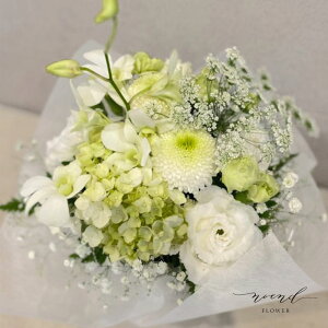    Ct[AWgSTCY  @v @  O   r   ybg