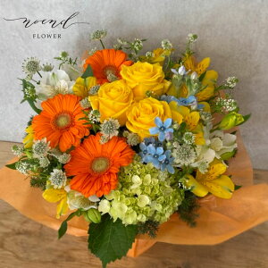 t[Mtg o肨܂t[AWgSTCY  Mtg av[g l ij ސEj  LO oYj މ@j j