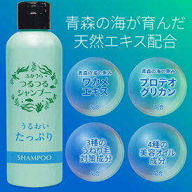 つるつるシャンプー シャンプー ふかうら 300ml　青森　深浦　ふかうら食品　わかめ　SDGs アップサイクル　食品廃棄物活用　エシカル
