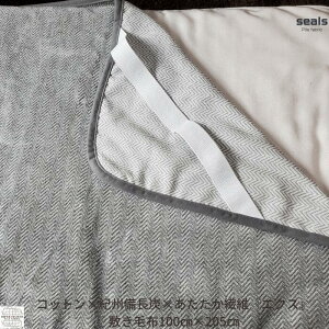 {IBY××M@ۃGNXi@ہj~ѕzIVRLAzMAVRۉ@\ѕzIߓVRfނ̂AgYV[DV[cI100cm×205cmVOTCY