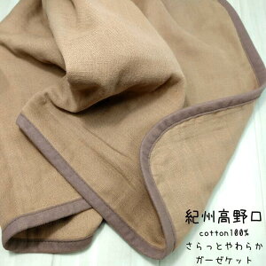 Ƃ炩K[[Pbg xr[ qp NH[^[TCY 70cm×100cm ~pbh { VRf 100 K[[Pbg ېOK ӂӂ 炳 YPbg V[Y ct ۈ牀 