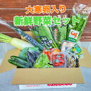 【大寒卵入り】【送料無料】新鮮野菜セット　旬の野菜詰め合わせ！1/20発送