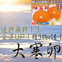 【大寒卵】送料無料! 味宝卵 1/20発送 30個入り 【大寒たまご】【大寒卵】【金運】【金運UP】 【野上養鶏場】【九州 福岡】【たまご】【玉子】【タマゴ】【...