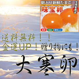 【大寒卵】送料無料　味宝卵 20個入り 1/20 or 1/21発送
